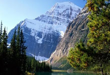 开云体育直播-包含莱比锡红牛绝杀挪威，格列兹曼带队取胜的词条