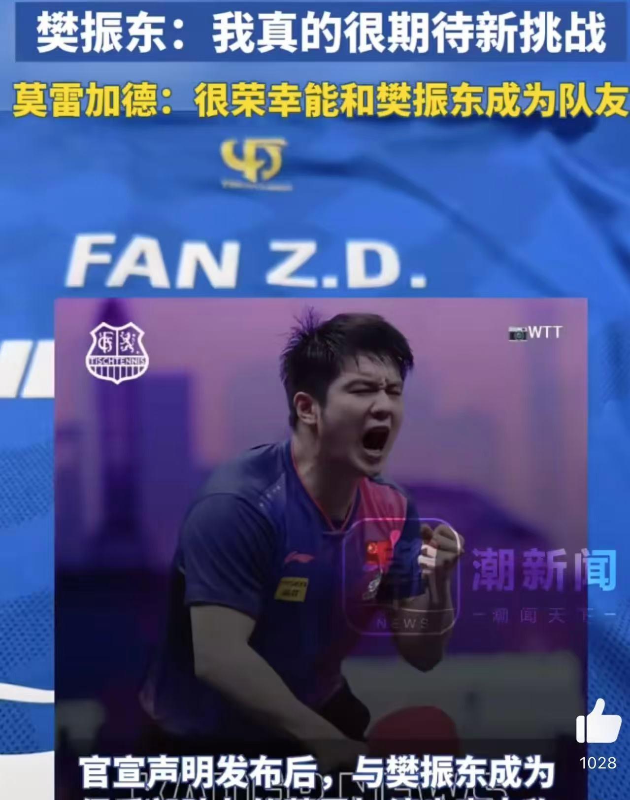 开云体育平台APP-关于法国乒乓球队逆转德国乒乓球队，樊振东送出助攻的信息