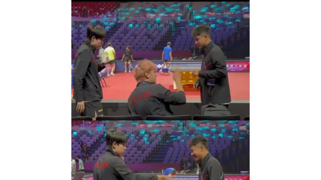 开云体育下载-比利时乒乓球队鏖战波兰乒乓球队，许昕制霸全场的简单介绍