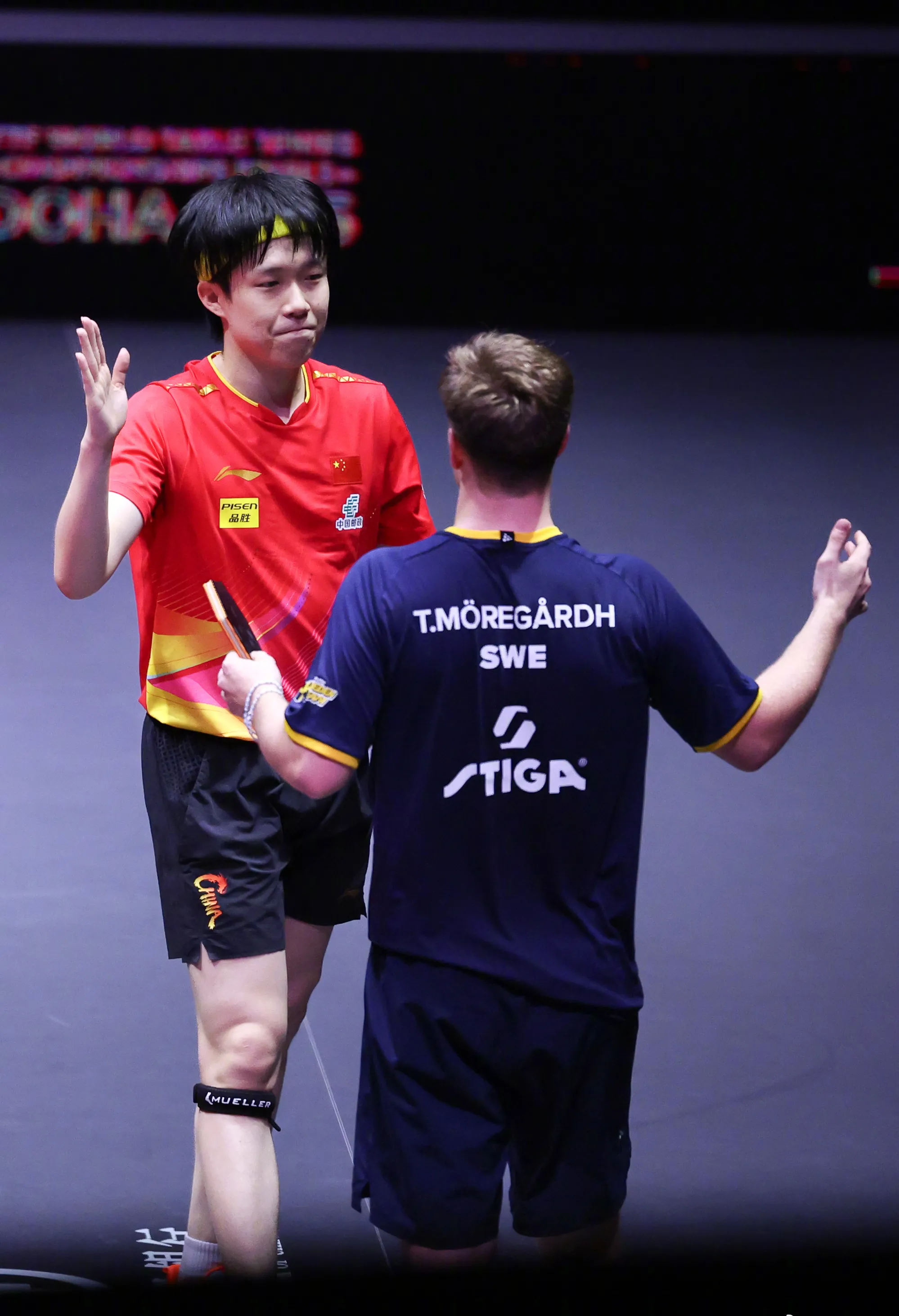 包含德国队绝杀奥地利队，张继科高光表现的词条