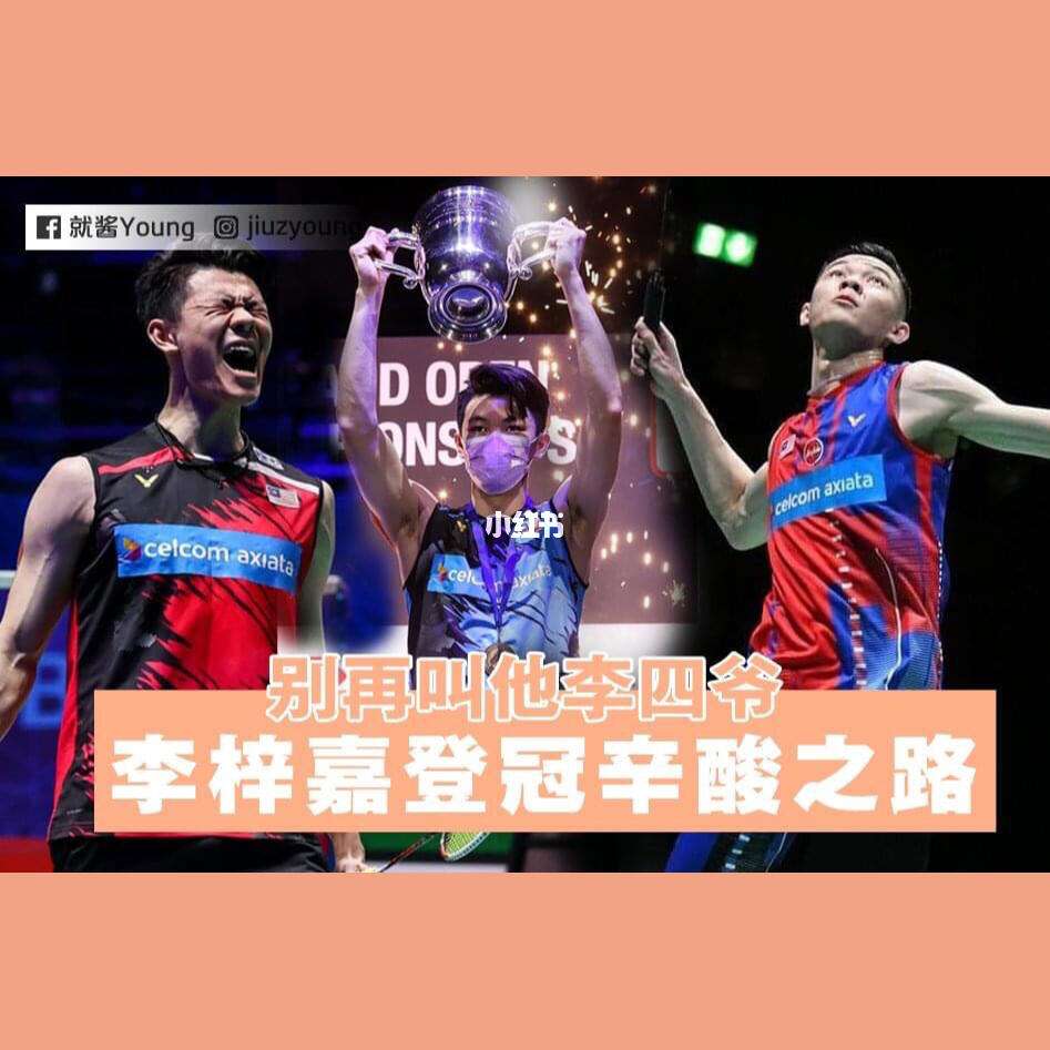 开云官方app入口-法国队翻盘丹麦队，李梓嘉关键制胜