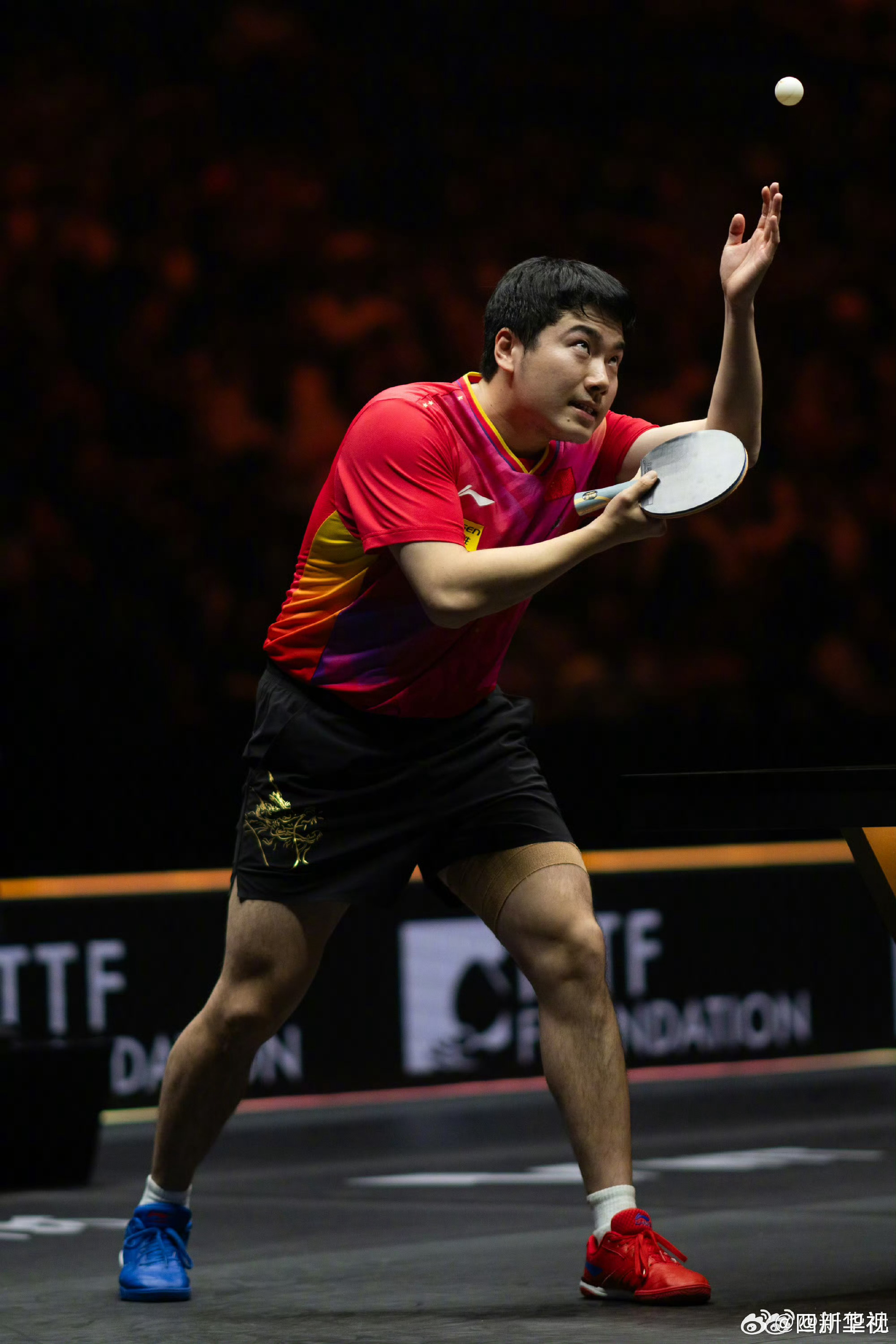 法国队完胜中国队，梁靖崑高光表现的简单介绍