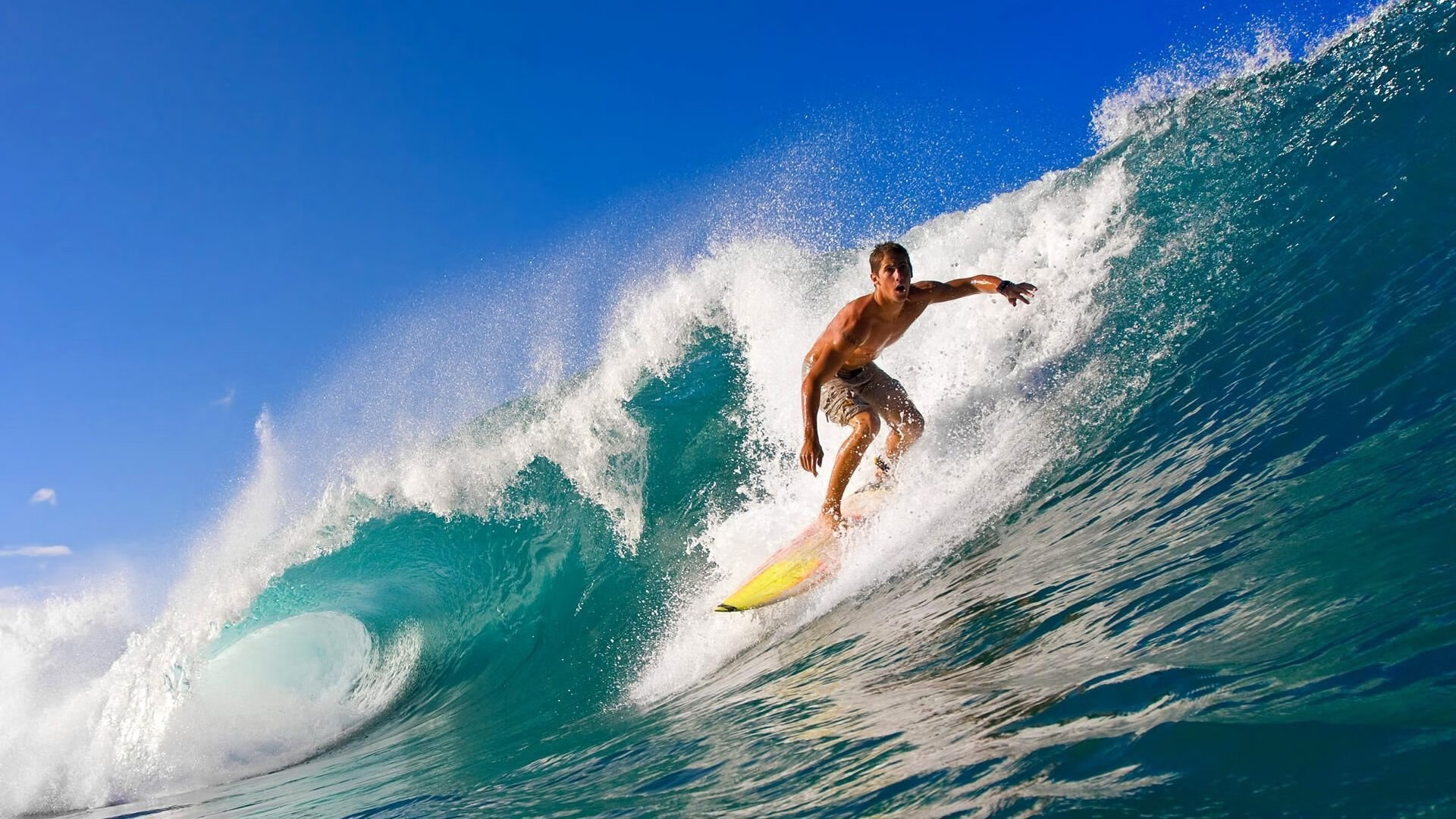 季后赛抢七之夜，加维用防守编织的胜利之网